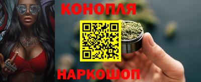 гидропоника Кунгур